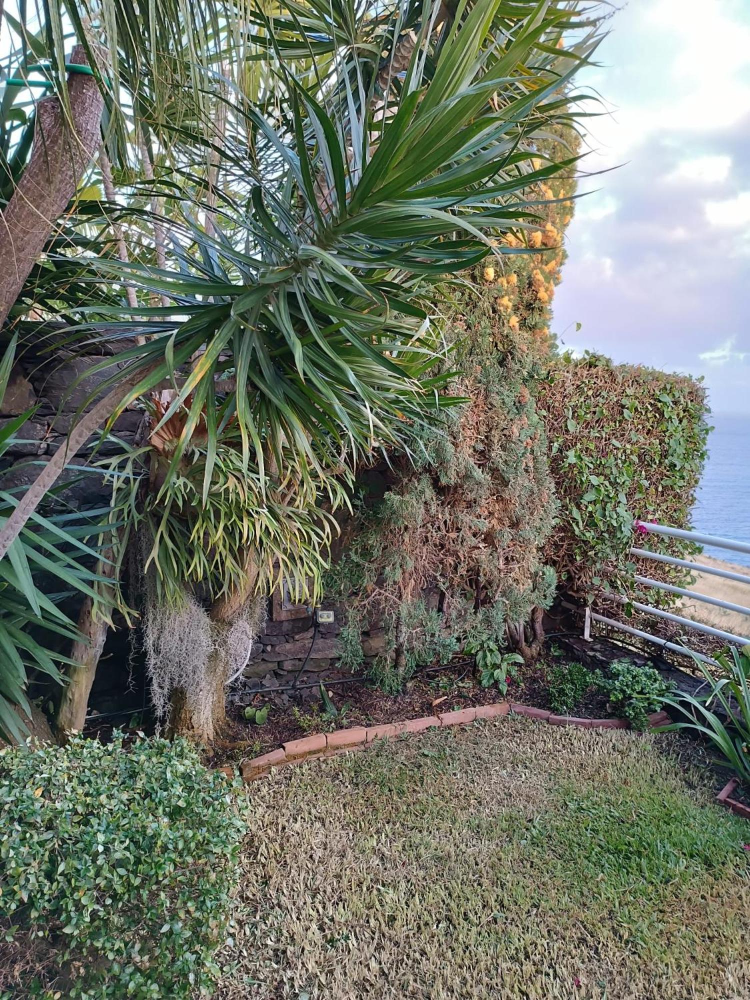 Moradia T2 Madeira Βίλα Φουνκάλ Εξωτερικό φωτογραφία